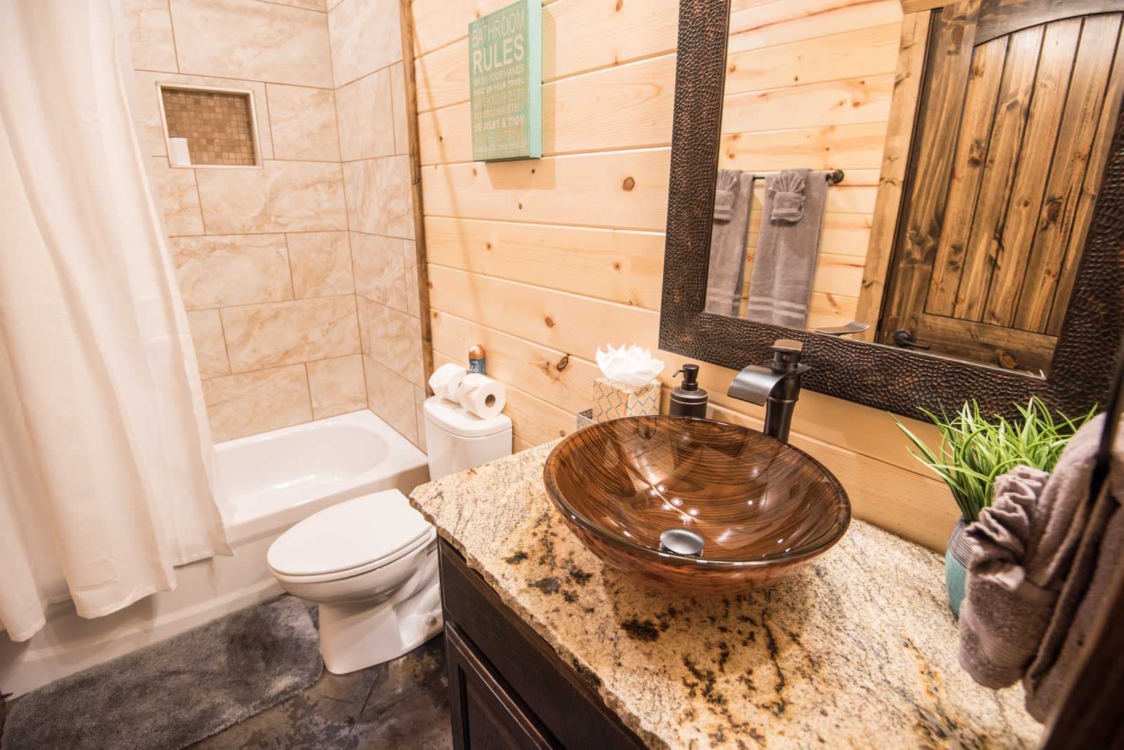 Living room fireplace and coffee table