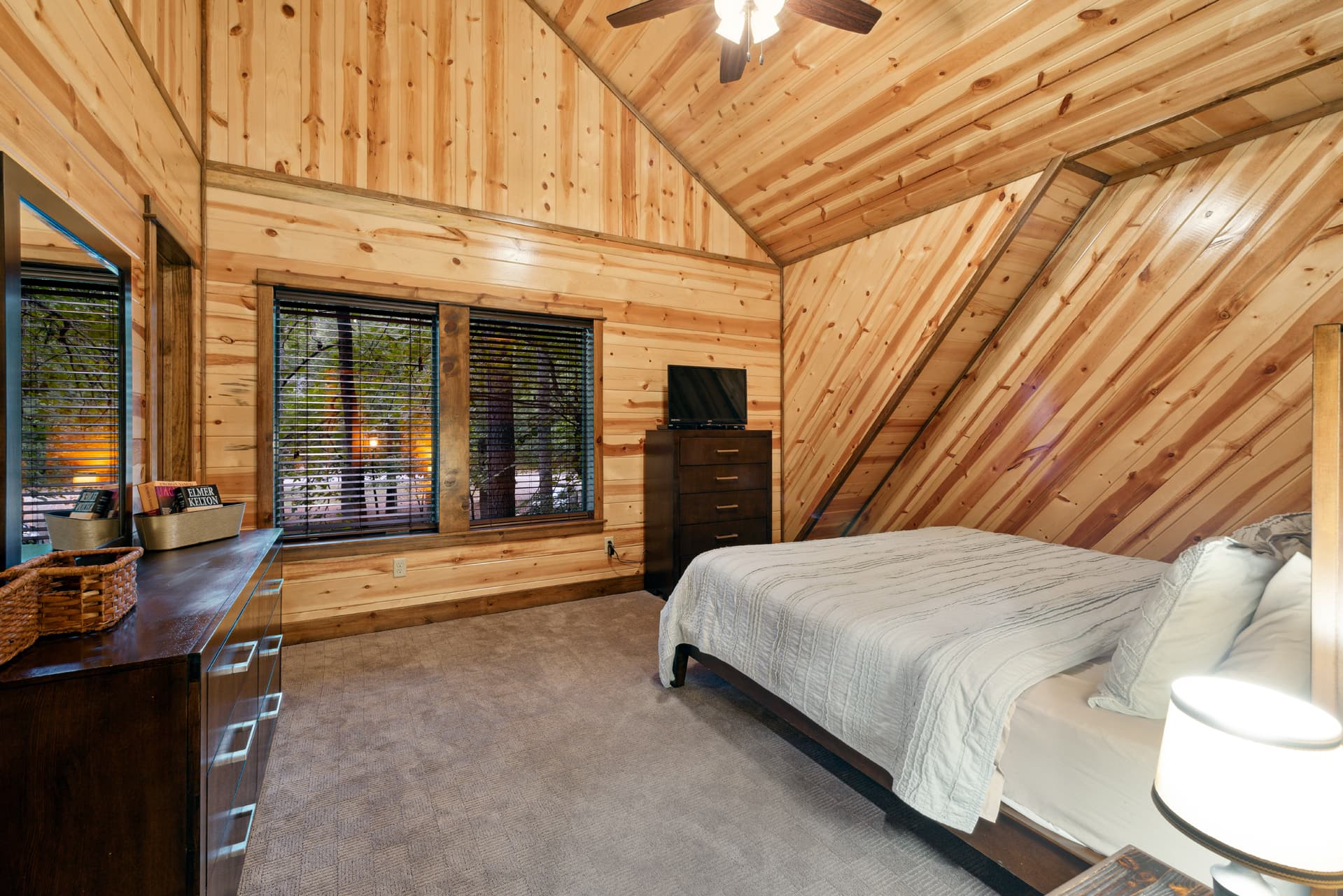 bedroom with dresser and tv