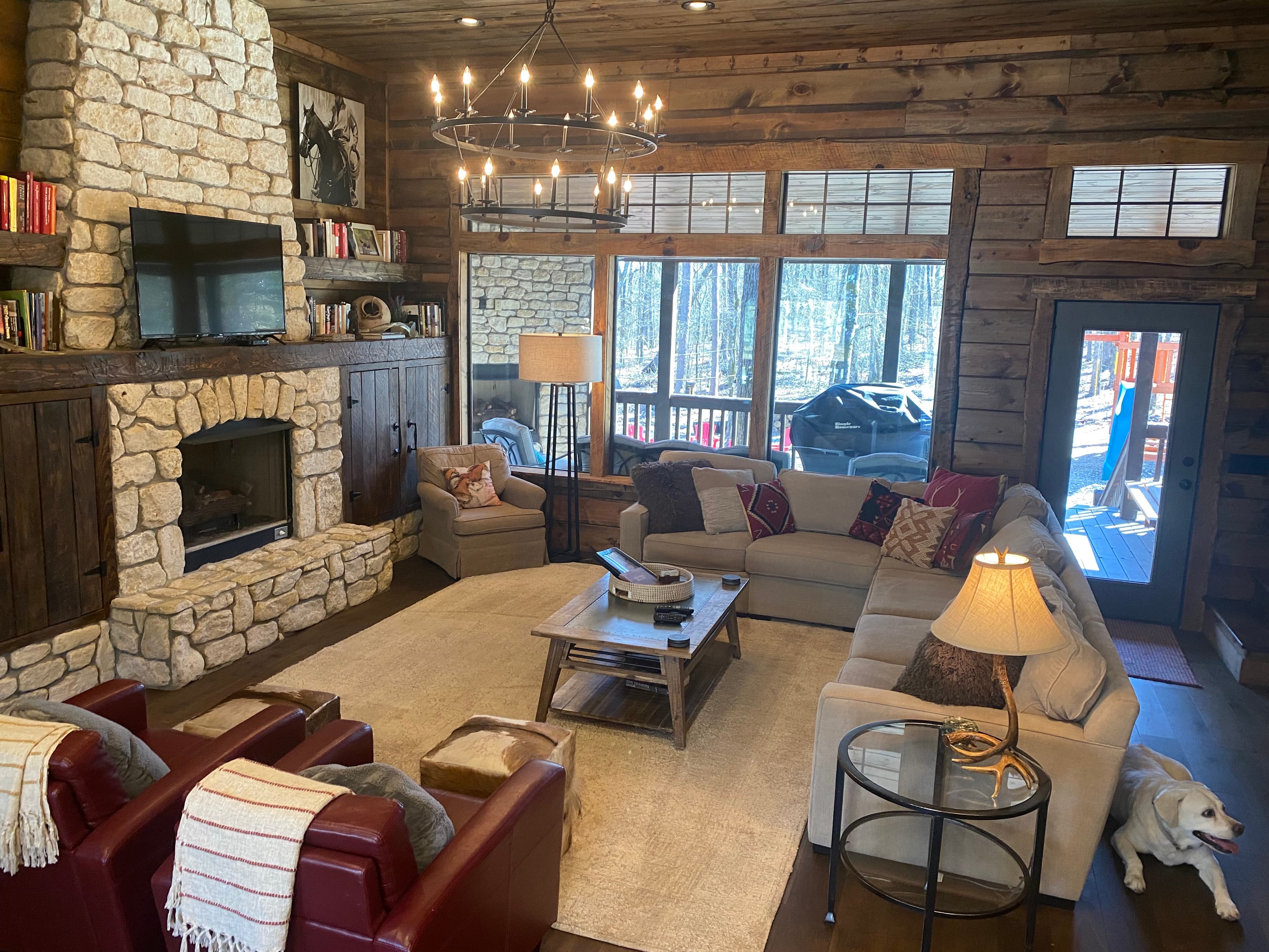 Living Room Couches with Fireplace and Dog