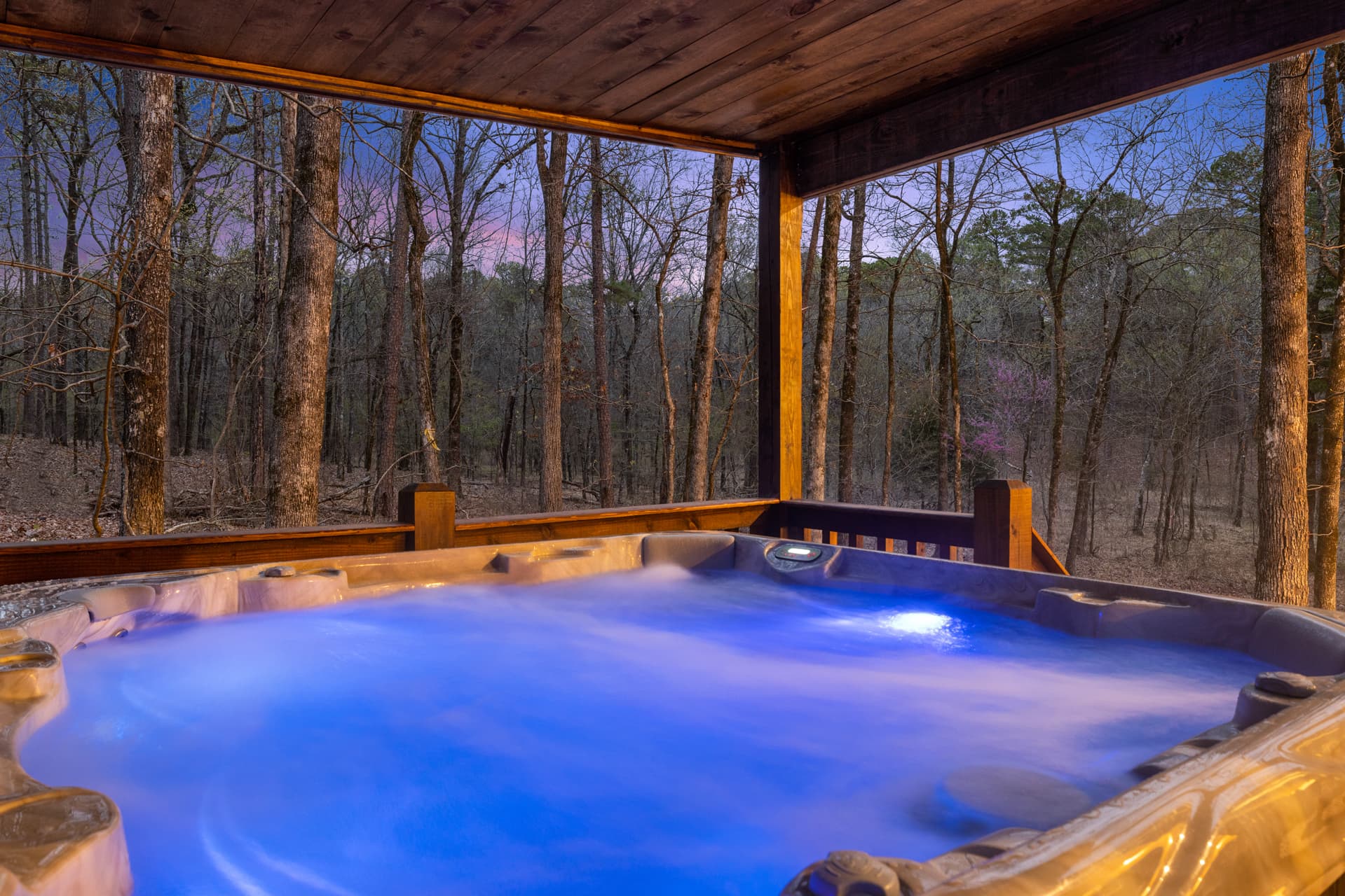 hot tub with forest view