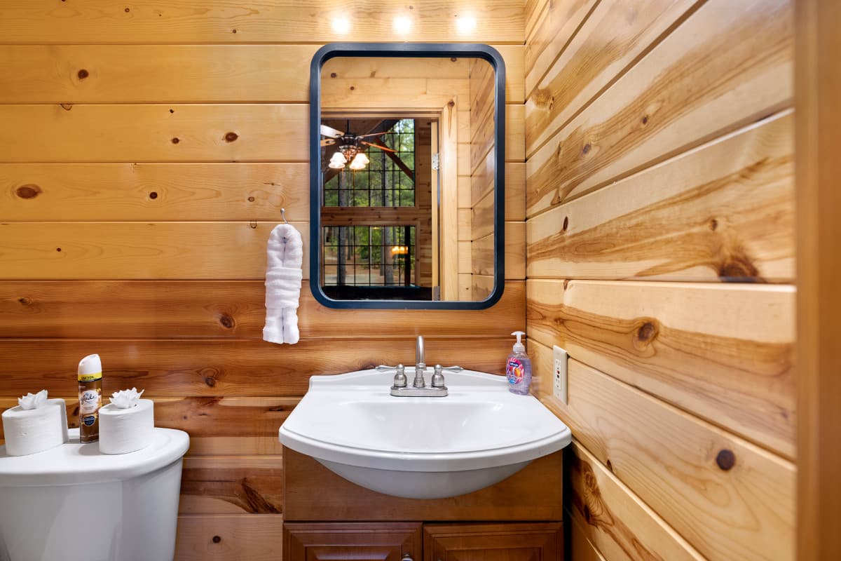 3rd bathroom downstairs with sink, toilet, and mirror