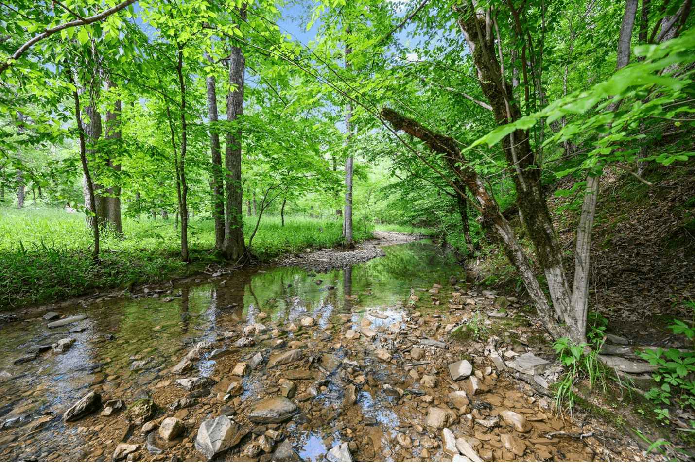 Cozy wooden cabin interior with sofa, chair, TV, and kitchenette.