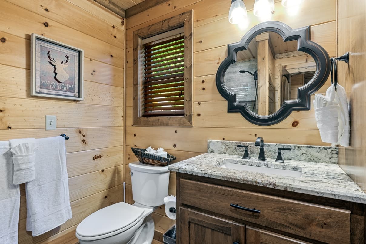 Bathroom sink and toilet