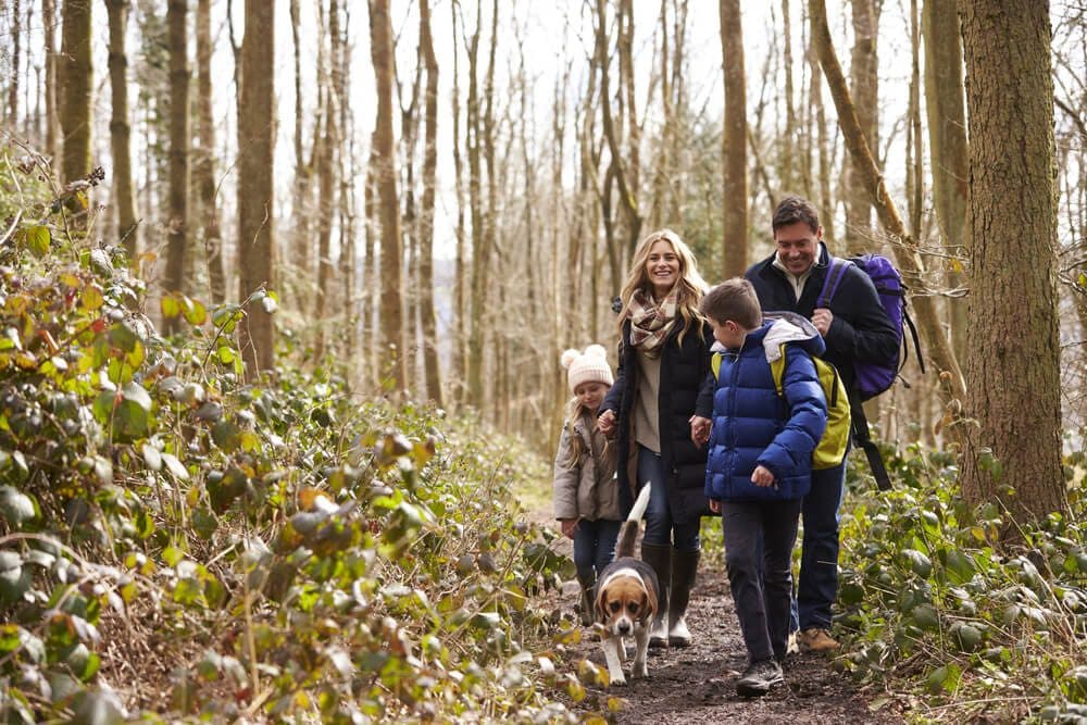 A family strolls through a forested path with a dog.