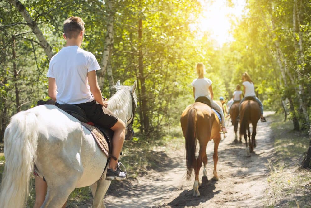 A group of riders on horseback walking through a sunlit forest path.