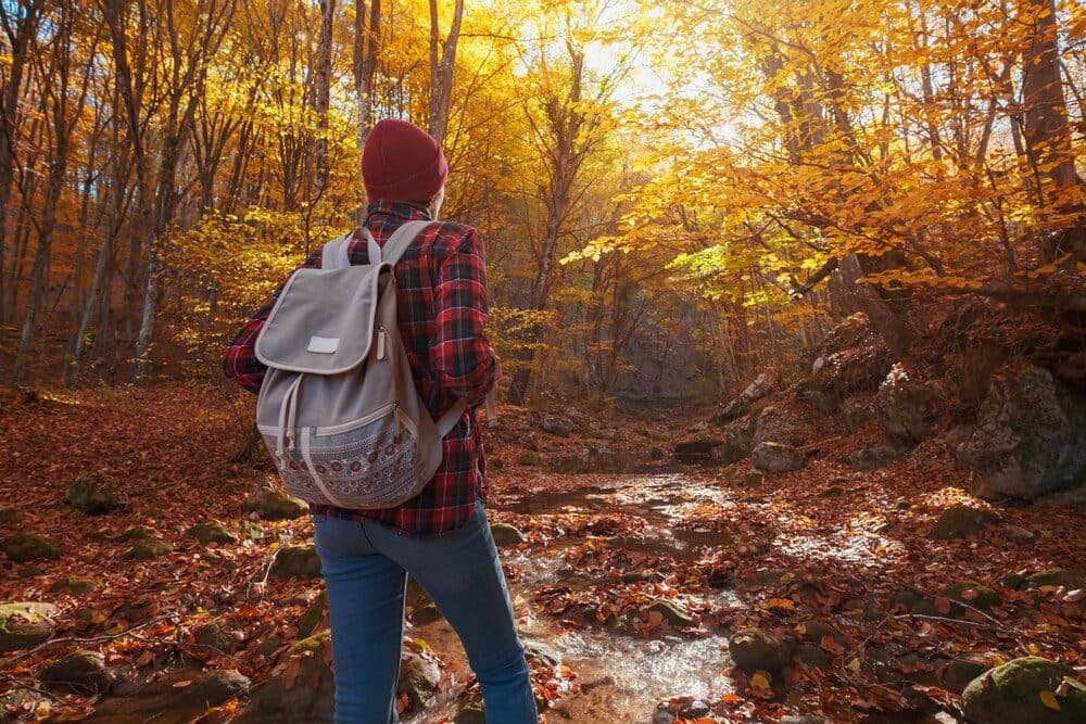 A person with a backpack stands by a stream surrounded by vibrant autumn foliage.