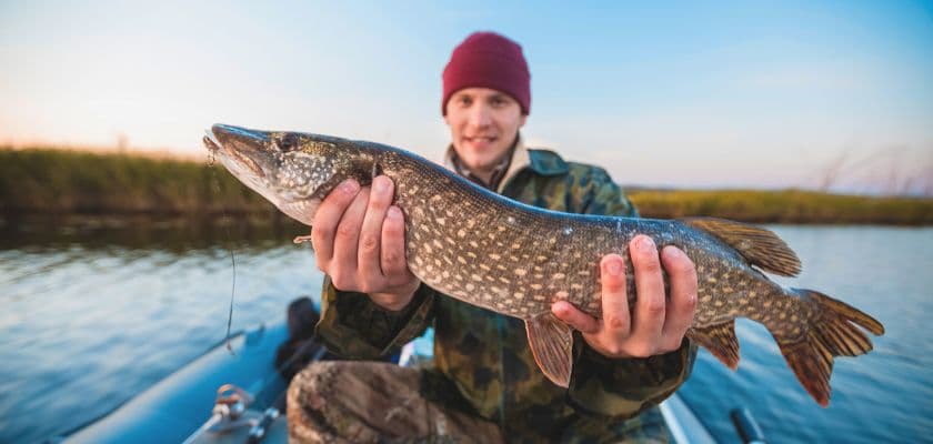 A man in a beanie holds a large pike fish while sitting in a boat on a calm river.