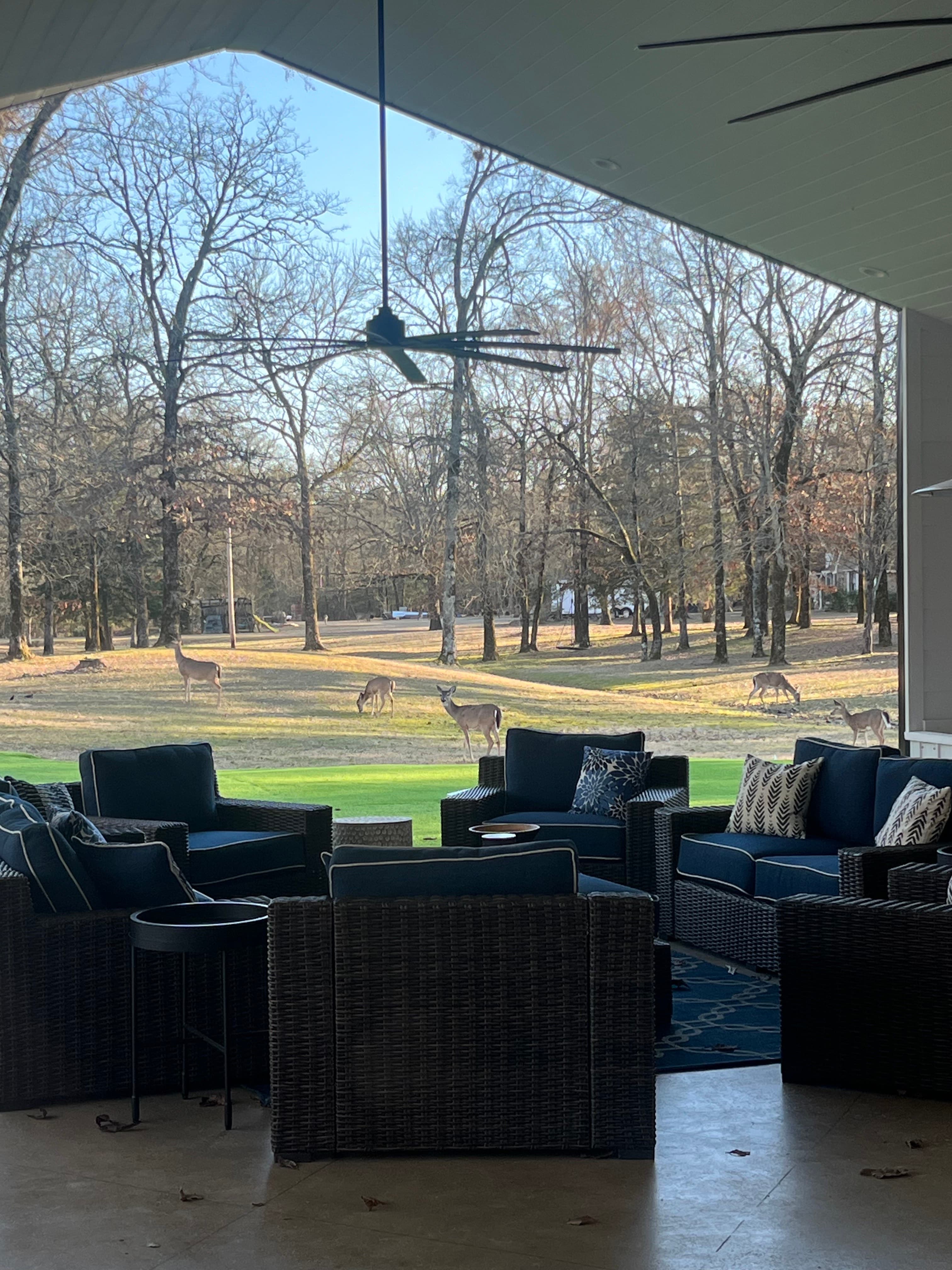 A cozy patio with dark wicker furniture overlooks a grassy area where several deer are grazing among the trees.