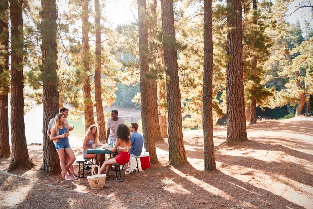 Group of six friends enjoying a picnic by a lake surrounded by tall pine trees.