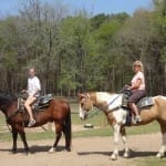 Ladies on Horses