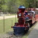 Train in the Park